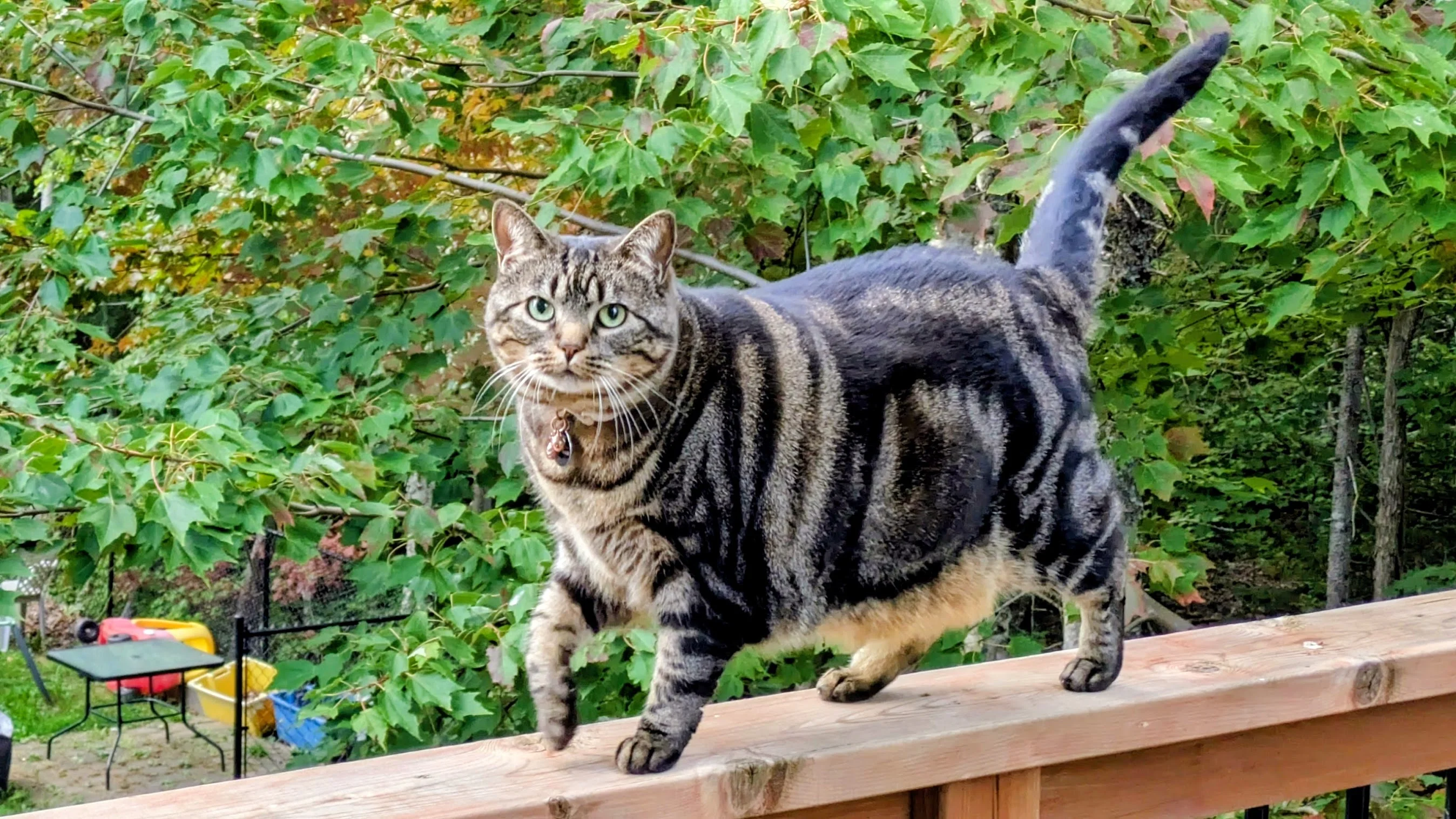 Kati